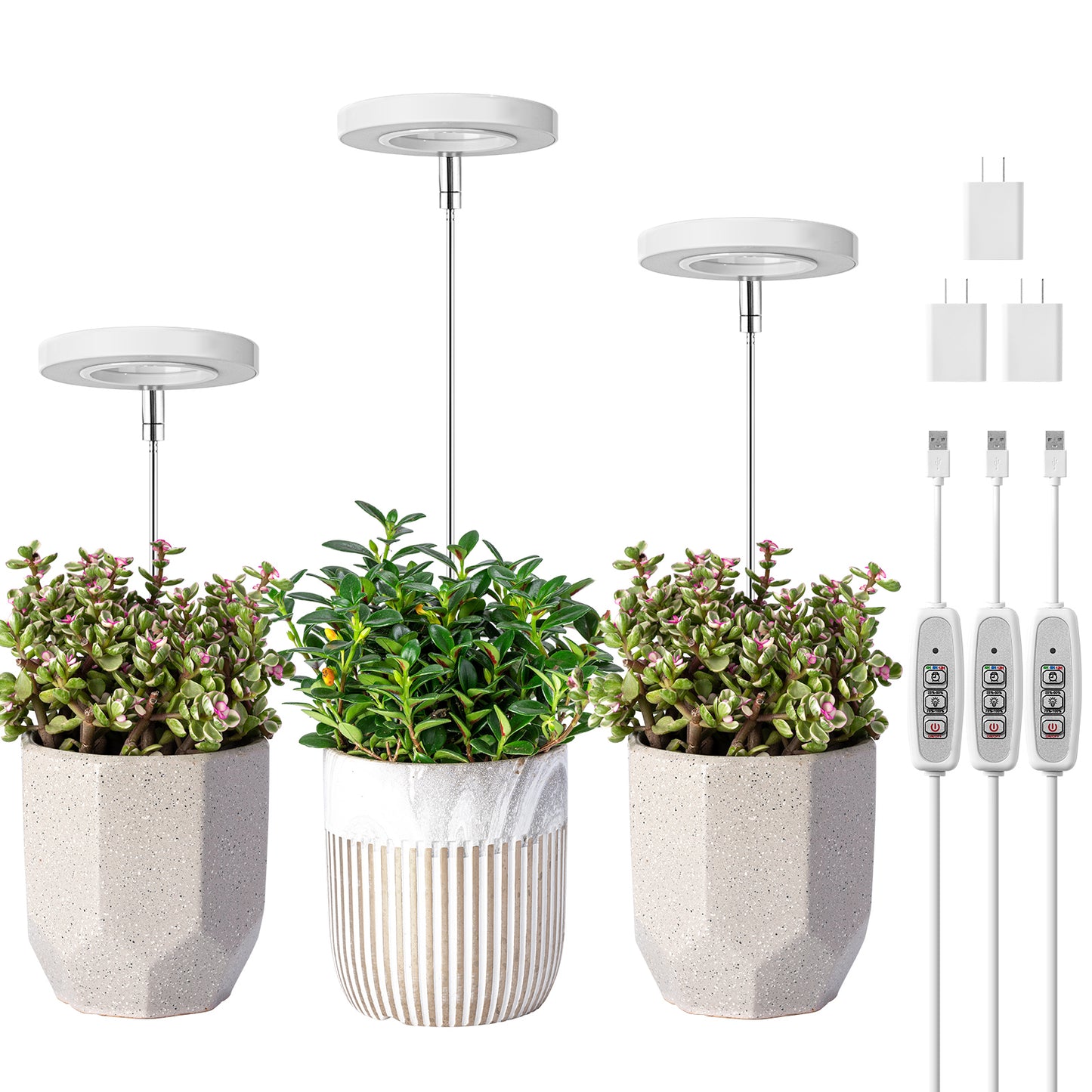 FOXGARDEN Halo Grow Light