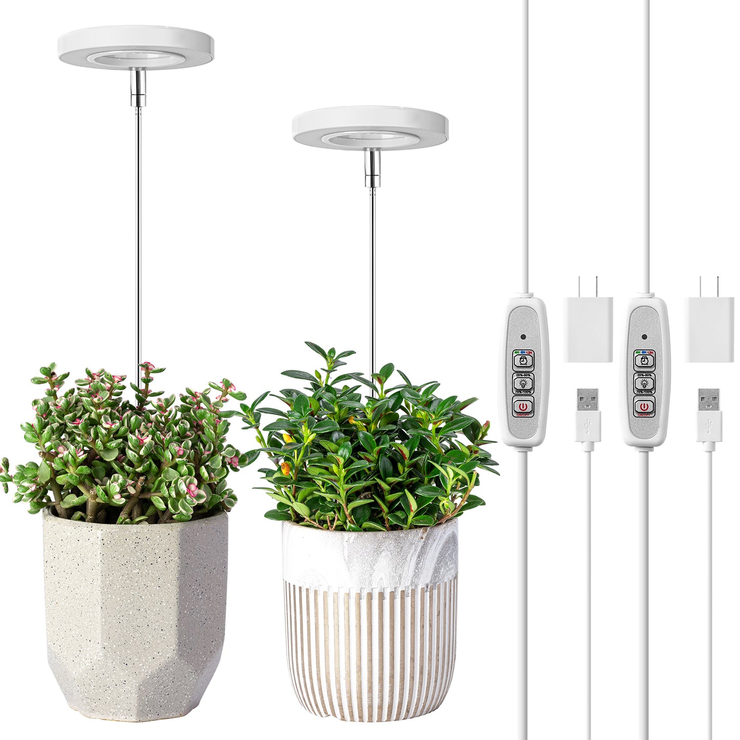 FOXGARDEN Halo Grow Light