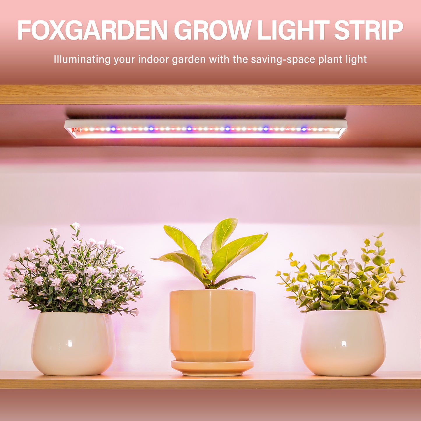 FOXGARDEN Red Blue White Plant Light Strip, One Light Strip