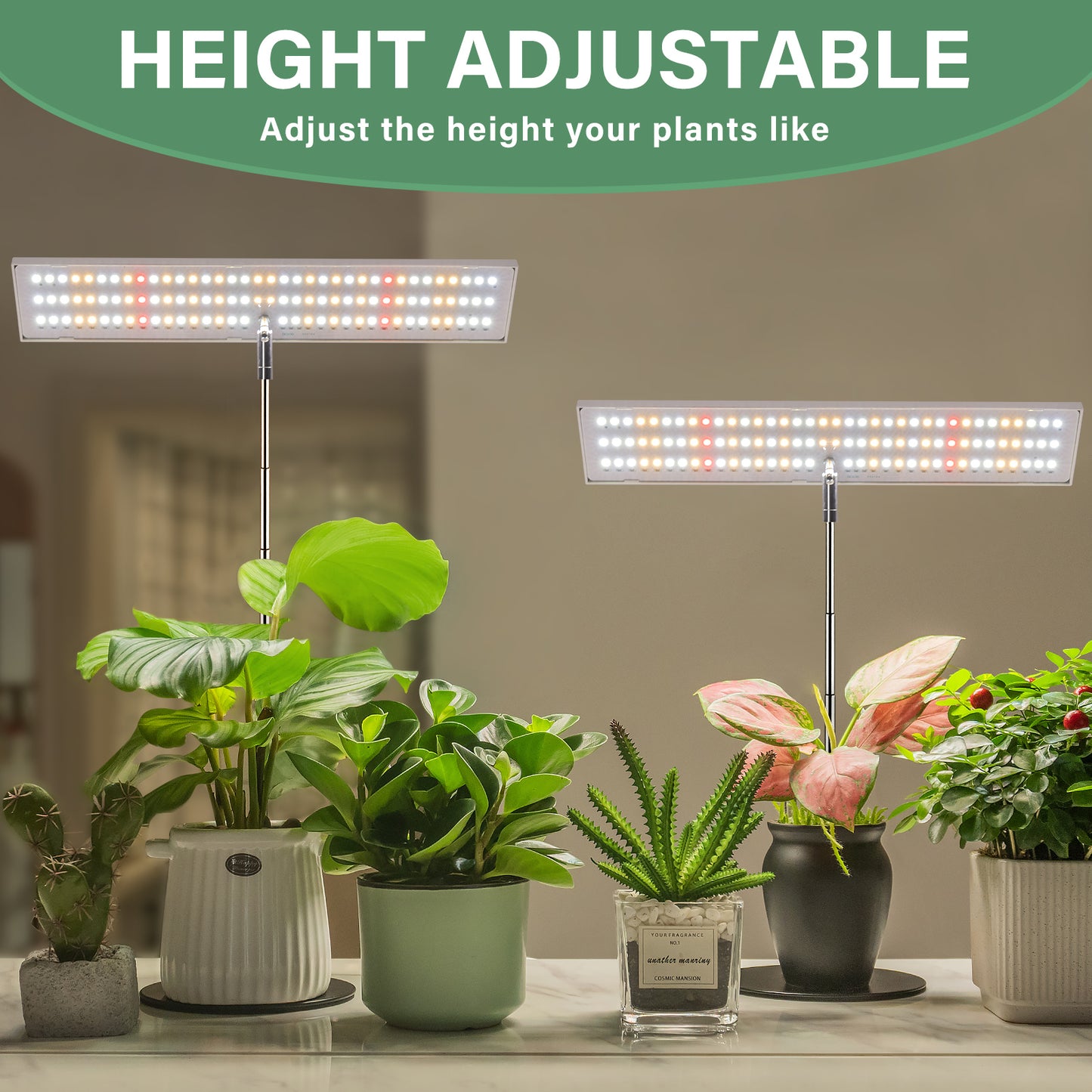 FOXGARDEN Ultra-thin Plant Light with Base