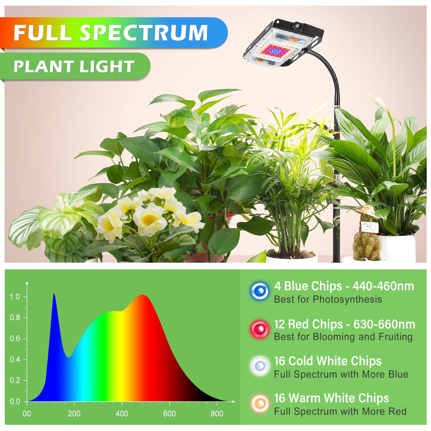 FOXGARDEN Desk Plant Lamp, One-Head with Timer