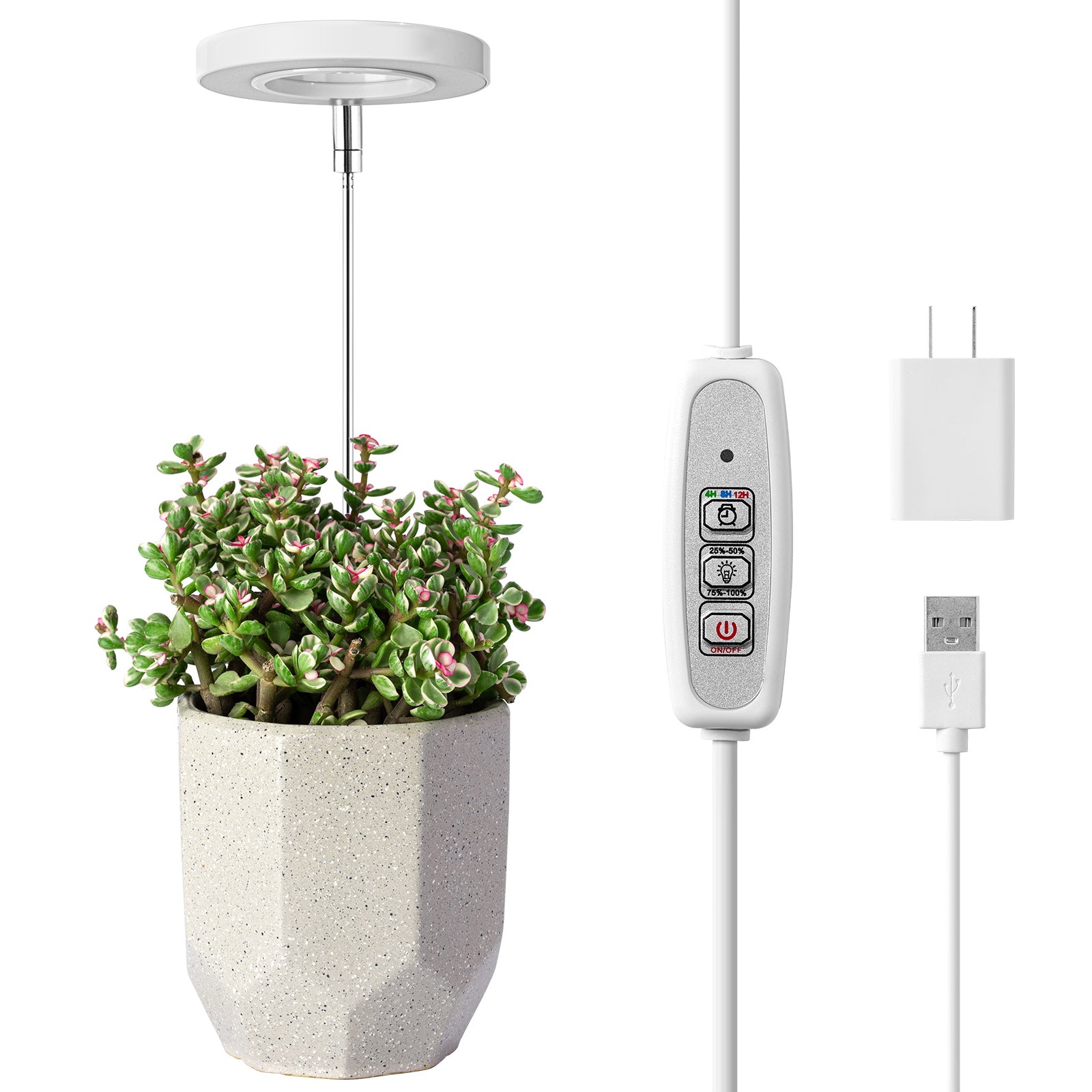 halogen light for growing plants FOXGARDEN Halo Grow Light – FoxGarden