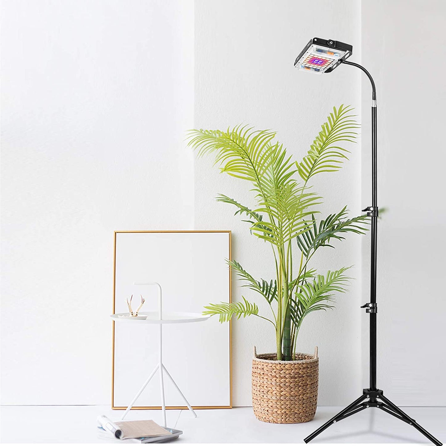 FOXGARDEN One-head Grow Light with Stand