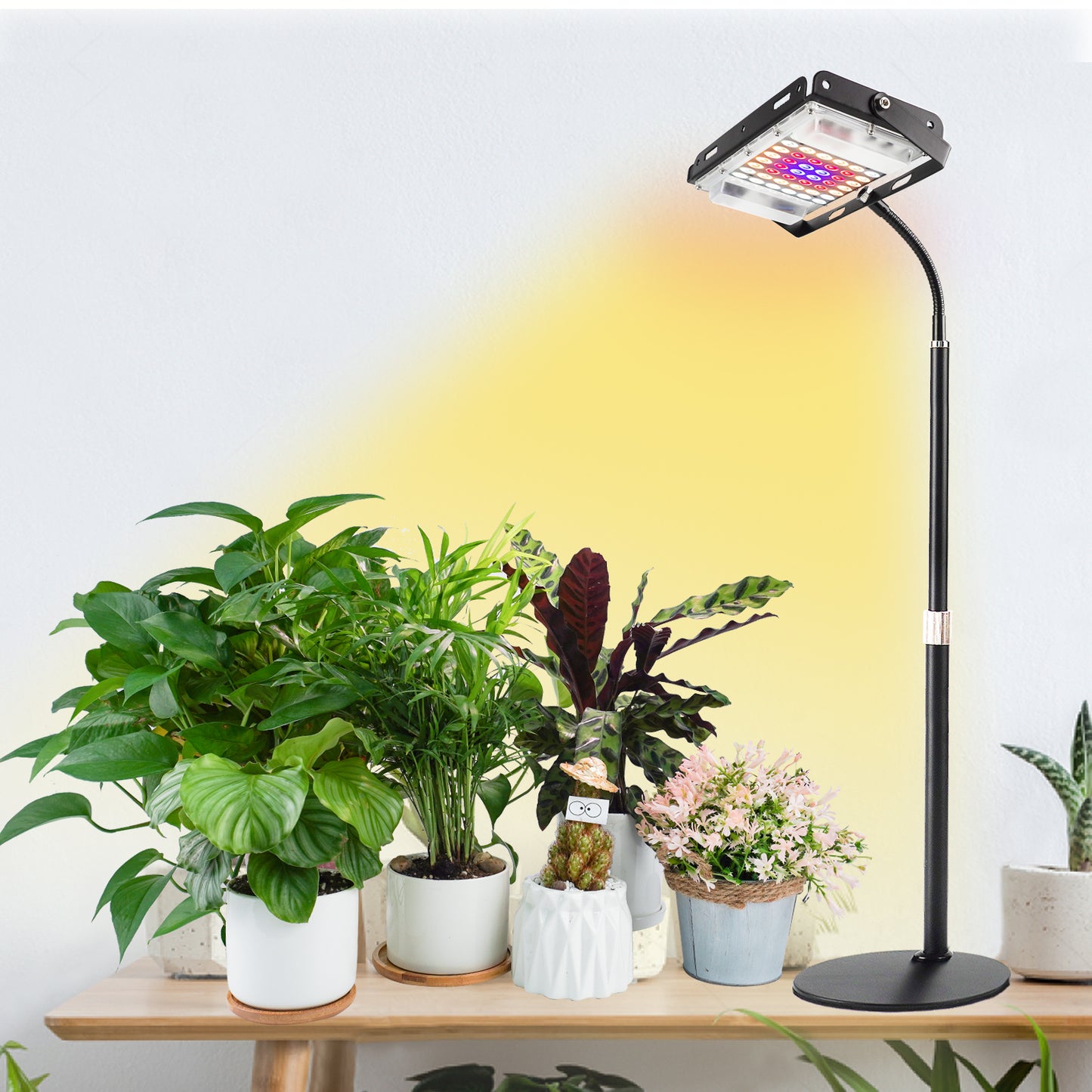 FOXGARDEN Desk Plant Lamp