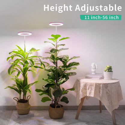 white grow lights for indoor plants FOXGARDEN 6.3'' Diameter Halo Plant Light for Tall Plants, White – FoxGarden