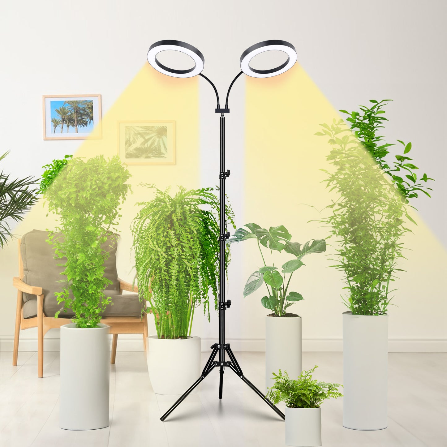 FOXGARDEN 6.3'' Diameter Halo Plant Light with Stand Dual-head