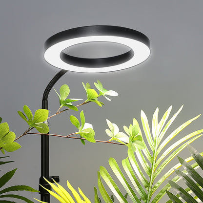FOXGARDEN 6.3'' Diameter Halo Plant Light with Stand One-head