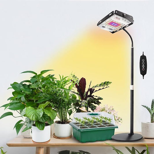 FOXGARDEN Desk Plant Lamp, One-Head with Timer