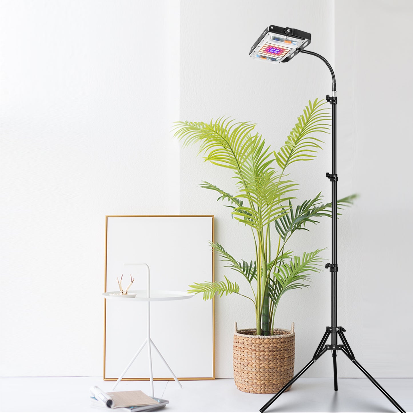 FOXGARDEN One-head Grow Light with Stand and Timer